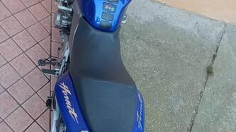Honda Hornet 600 (2000 - 02) usata