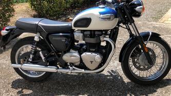 Triumph Bonneville (2007 - 16) usata