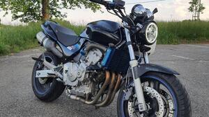 Honda Hornet 600 (2000 - 02)