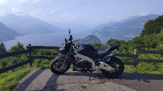 Aprilia Tuono V4 RR (2019 - 20) usata