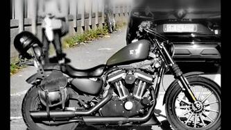Harley-Davidson 883 Iron (2009 - 11) - XL 883N usata