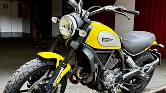Ducati Scrambler 800 Icon (2015 - 16) usata