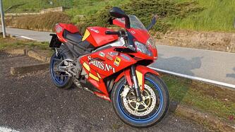 Aprilia RS 125 (2006 - 14) usata