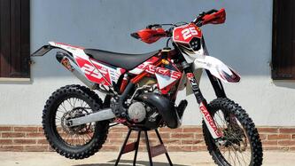 GASGAS EC 300 Six Days (2010 - 11) usata