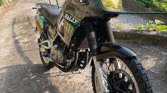 Kawasaki KLE 500 (2001 - 04) usata