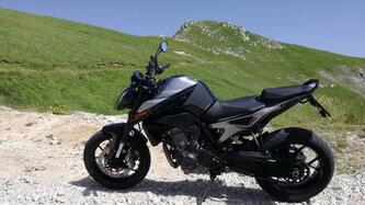 KTM 790 Duke (2018 - 20) usata