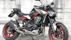 Kawasaki Z 900 A2 (2021 - 24) 