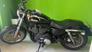Harley-Davidson 1200 Custom (2007 - 13) - XL 1200C 