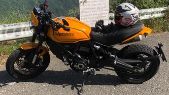 Ducati Scrambler 1100 Tribute Pro (2022 - 24) usata