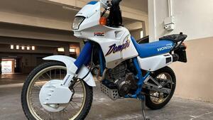 Honda NX 650 Dominator (1988 - 90) 