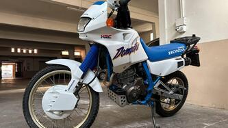 Honda NX 650 Dominator (1988 - 90) usata