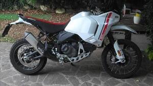 Ducati DesertX (2022 - 25) 