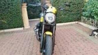 Ducati Scrambler 800 Icon (2015 - 16) usata