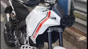 Ducati DesertX (2022 - 25) 