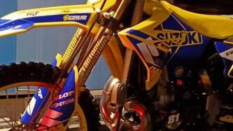 Suzuki RM 250 (2008 - 11)