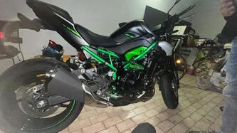 Kawasaki Z 900 (2025)