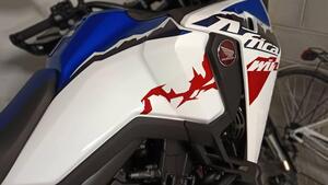 Honda Africa Twin CRF 1100L ES DCT (2024 - 25) 