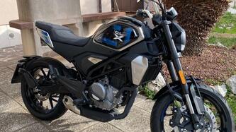 CFMOTO 300CL-X Heritage (2023 - 25)