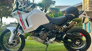 Ducati DesertX (2022 - 25) 