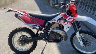 GASGAS EC 300 (2009) usata