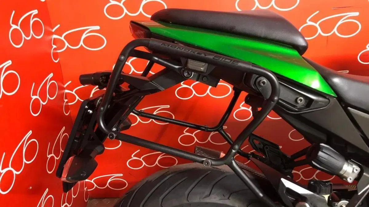 Kawasaki Z 1000 SX (2017 - 20)  (5)