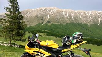Yamaha YZF R6 (2006 - 07) usata