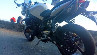 Triumph Street Triple (2007 - 12) usata
