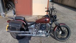 Yamaha XVS 650 Drag Star (1997 - 05) 