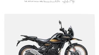 Royal Enfield Himalayan 450 (2024 - 25) usata