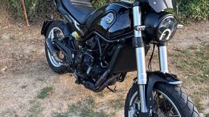 Benelli Leoncino 500 Trail (2021 - 25) 