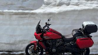 Harley-Davidson Pan America 1250 (2020 - 25) usata