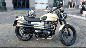Triumph Street Scrambler 900 (2017 - 18) 