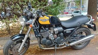 Triumph Thunderbird 900 Sport (2003 - 04) usata