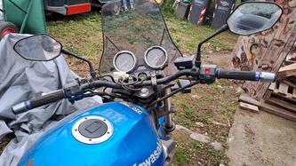 Kawasaki ER-5 500 (2001 - 06) usata