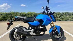 Honda MSX 125 Grom (2021 - 25)