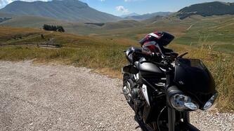 Triumph Street Triple RS (2017 - 19) usata