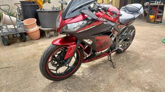Kawasaki Ninja 300 ABS (2012 - 16) usata