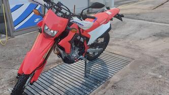 Honda CRF 300 L (2021 - 24) usata