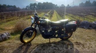 Kawasaki W 800 (2010 - 17) usata