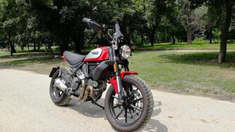 Ducati Scrambler 800 Icon (2017 - 20) usata