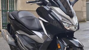 Honda Forza 300 ABS (2018 - 20) 