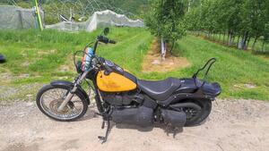 Harley-Davidson 1584 Night Train (2006 - 07) - FXSTB 
