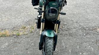 Benelli Leoncino 800 (2022 - 25)