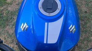 Suzuki SV 650 (2016 - 20) 
