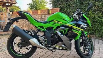 Kawasaki Ninja 125 (2019 - 20) usata