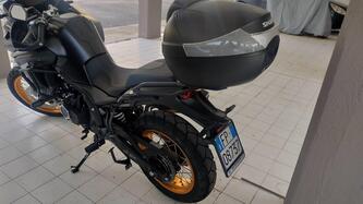 Voge Valico 525DSX (2023 - 25)