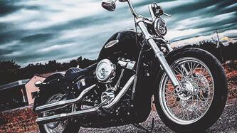 Harley-Davidson Softail Standard (2020) - FXST usata
