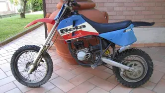 Betamotor Minicross R12 (2014 - 17) usata