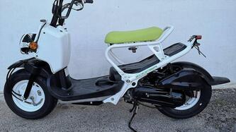 Honda Zoomer usata