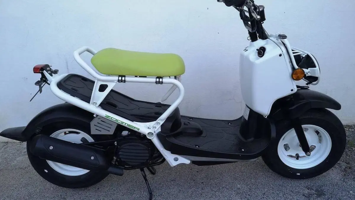 Honda Zoomer  (3)